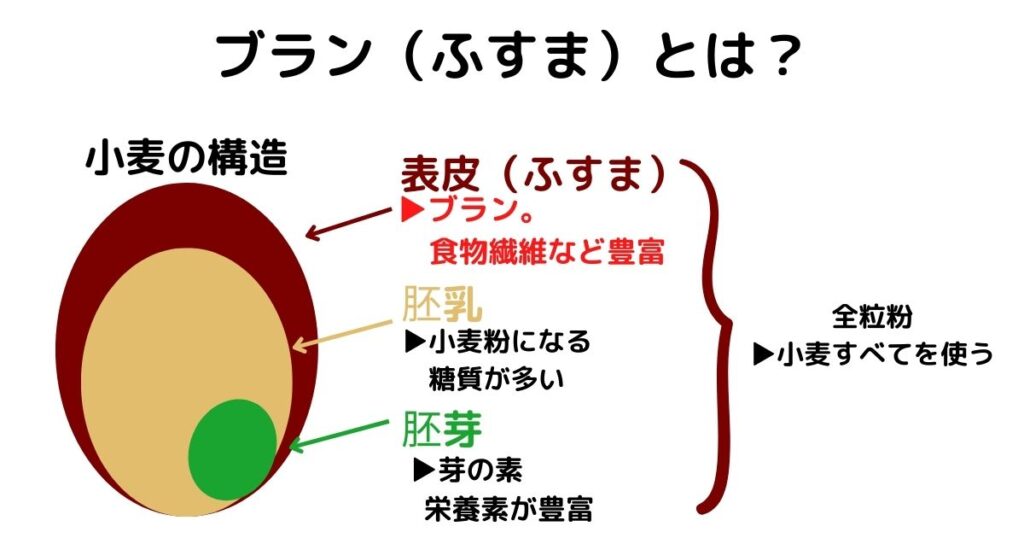 小麦の構造